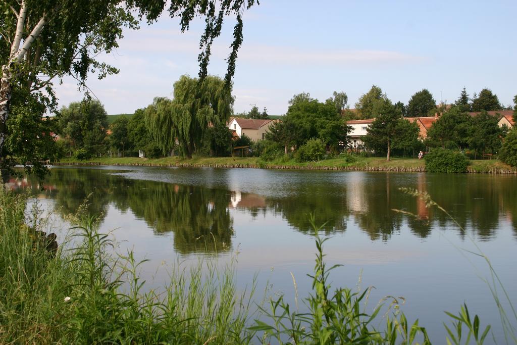 Penzion U Sklepu Hotel Hovorany Buitenkant foto